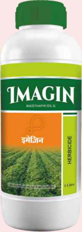 Imagin (Imazethapyr 10% SL)